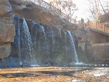 花鸟虫鱼市场（荔湾区花鸟虫鱼市场）