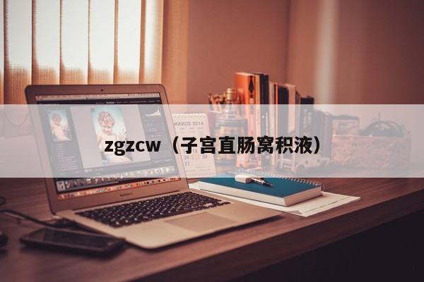 zgzcw（子宫直肠窝积液）