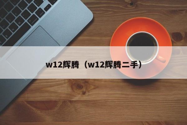 w12辉腾（w12辉腾二手）