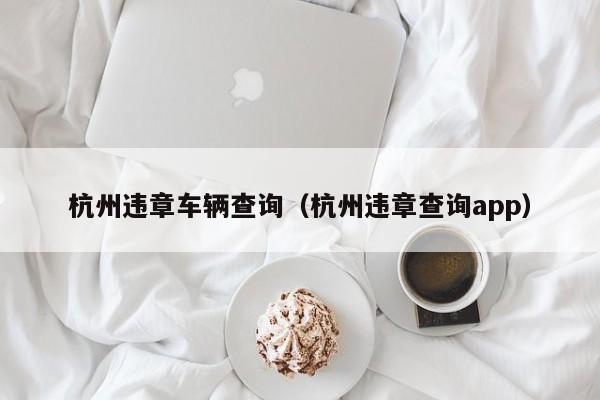 杭州违章车辆查询（杭州违章查询app）