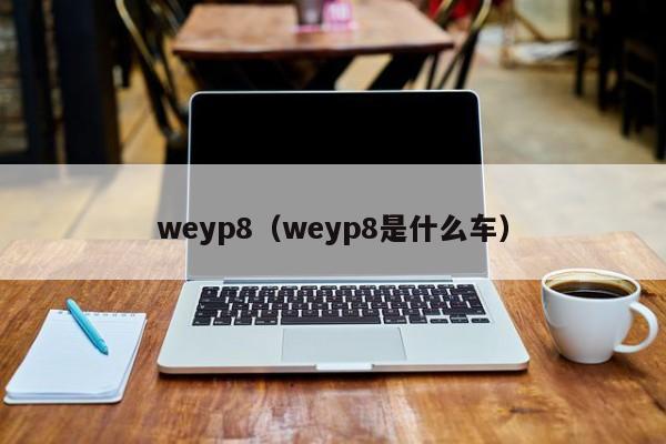 weyp8（weyp8是什么车）