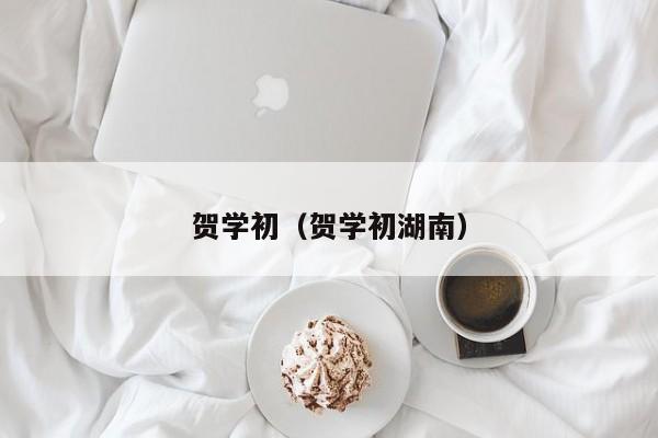 贺学初（贺学初湖南）