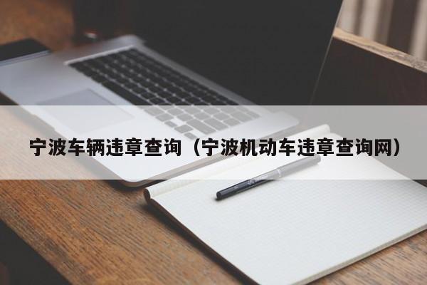 宁波车辆违章查询（宁波机动车违章查询网）