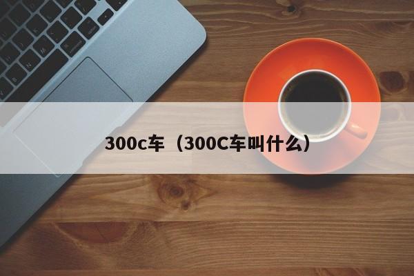 300c车（300C车叫什么）