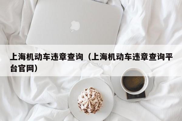 上海机动车违章查询（上海机动车违章查询平台官网）