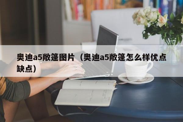 奥迪a5敞篷图片（奥迪a5敞篷怎么样优点缺点）