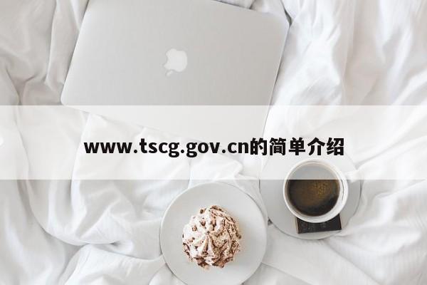 www.tscg.gov.cn的简单介绍