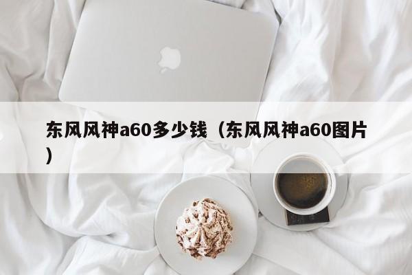 东风风神a60多少钱（东风风神a60图片）