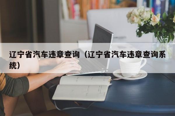 辽宁省汽车违章查询（辽宁省汽车违章查询系统）