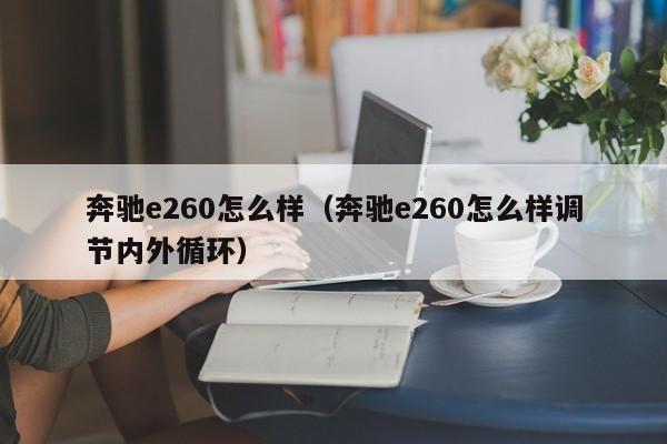 奔驰e260怎么样（奔驰e260怎么样调节内外循环）