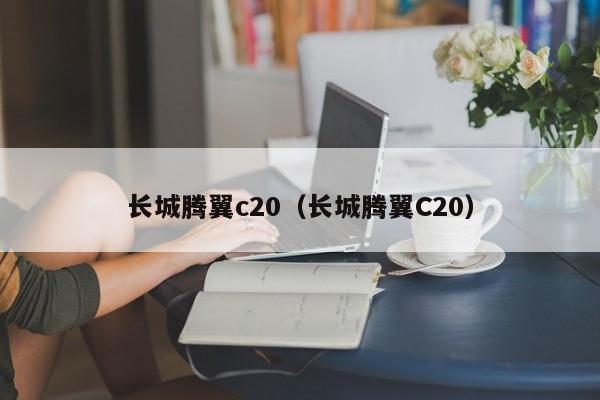 长城腾翼c20（长城腾翼C20）