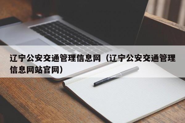 辽宁公安交通管理信息网（辽宁公安交通管理信息网站官网）