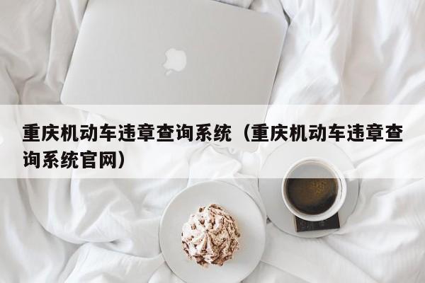 重庆机动车违章查询系统（重庆机动车违章查询系统官网）