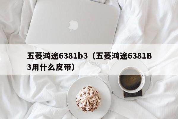 五菱鸿途6381b3（五菱鸿途6381B3用什么皮带）