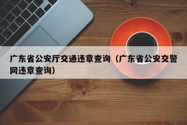 广东省公安厅交通违章查询（广东省公安交警网违章查询）