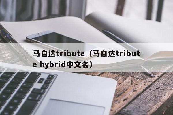 马自达tribute（马自达tribute hybrid中文名）