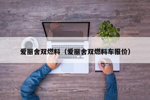 爱丽舍双燃料（爱丽舍双燃料车报价）