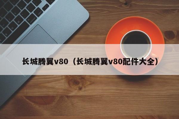 长城腾翼v80（长城腾翼v80配件大全）