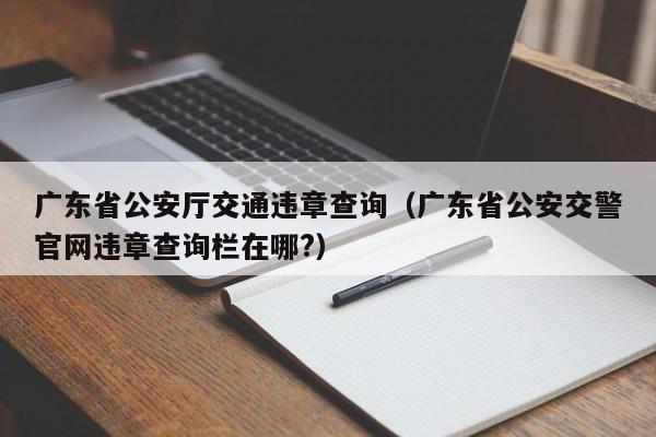 广东省公安厅交通违章查询（广东省公安交警官网违章查询栏在哪?）