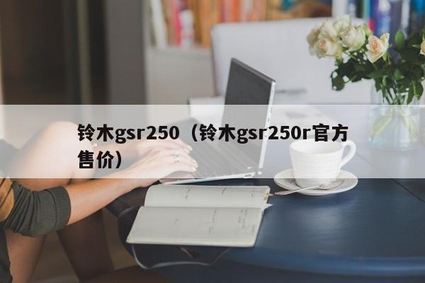 铃木gsr250（铃木gsr250r官方售价）