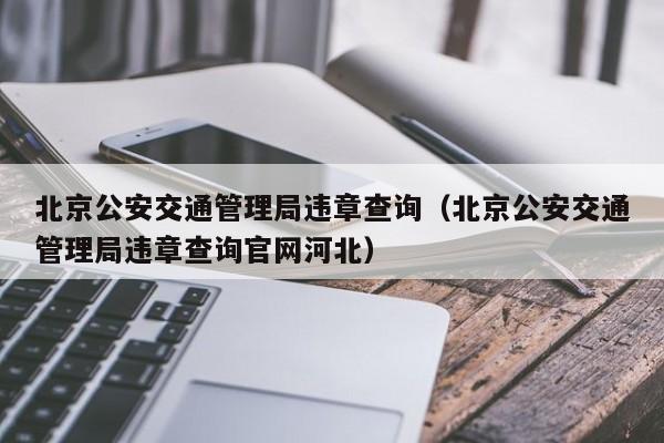 北京公安交通管理局违章查询（北京公安交通管理局违章查询官网河北）