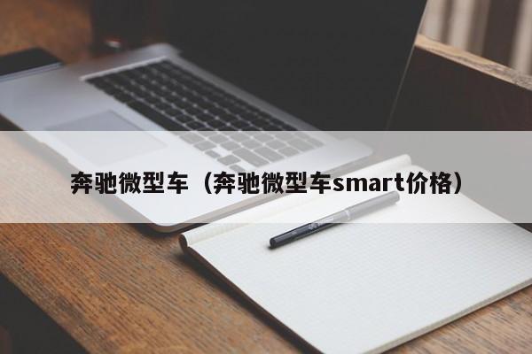 奔驰微型车（奔驰微型车smart价格）