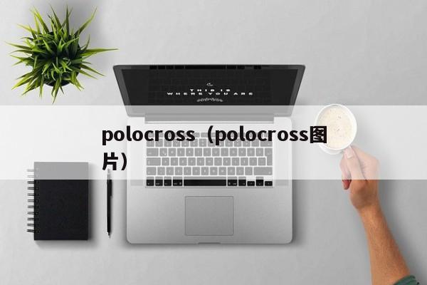 polocross（polocross图片）