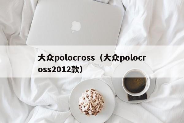 大众polocross（大众polocross2012款）