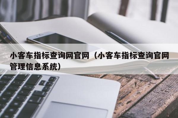 小客车指标查询网官网（小客车指标查询官网管理信息系统）