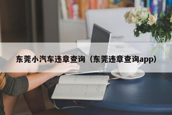 东莞小汽车违章查询（东莞违章查询app）