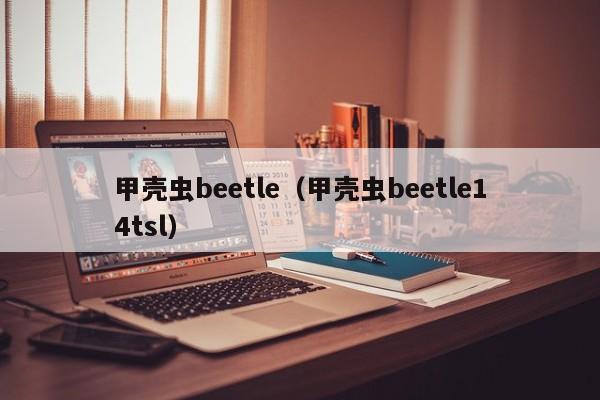 甲壳虫beetle（甲壳虫beetle14tsl）