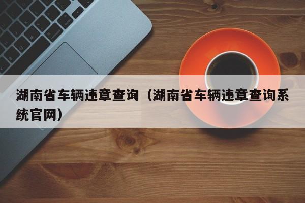 湖南省车辆违章查询（湖南省车辆违章查询系统官网）