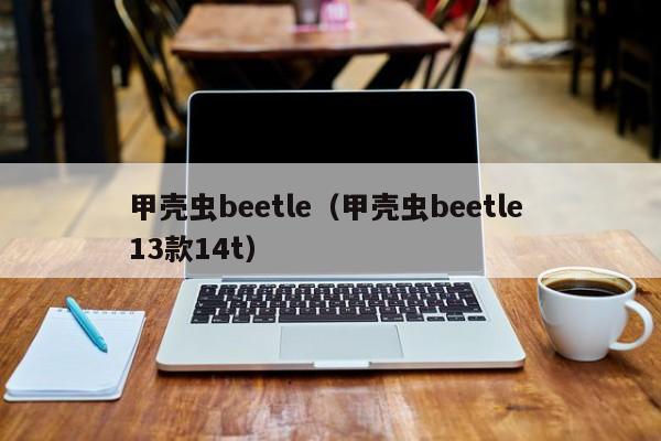 甲壳虫beetle（甲壳虫beetle 13款14t）