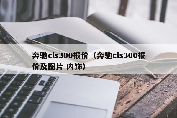 奔驰cls300报价（奔驰cls300报价及图片 内饰）